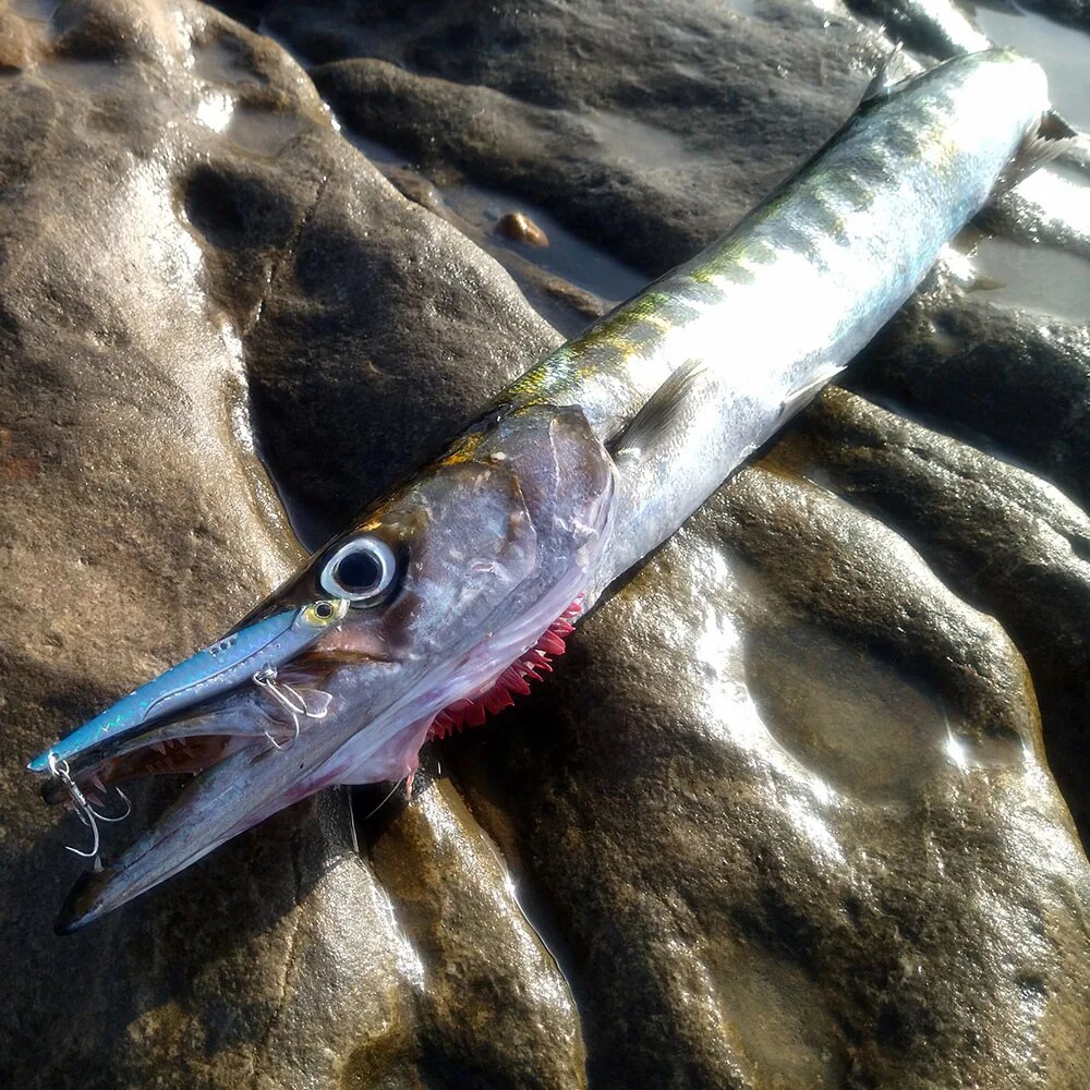 GOBAIT VIB Fishing Lure 20g 25 – обзор и цена Fishing Lure Spinnerbait
