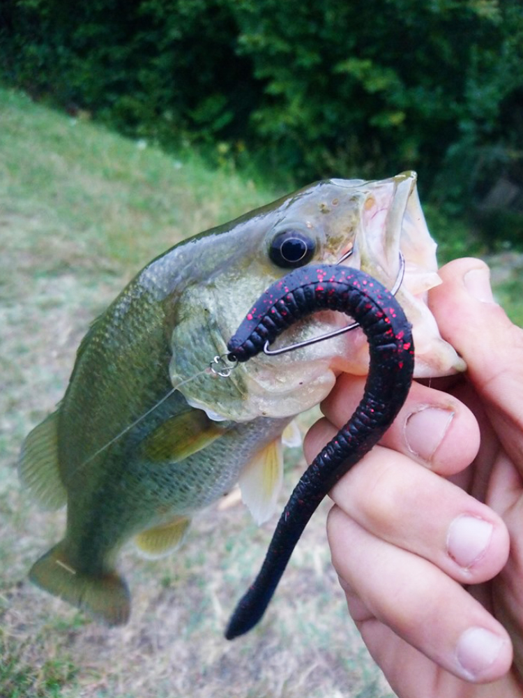 Esfishing Silicone Soft Bait T – обзор и цена Fishing Lure Soft Plastic